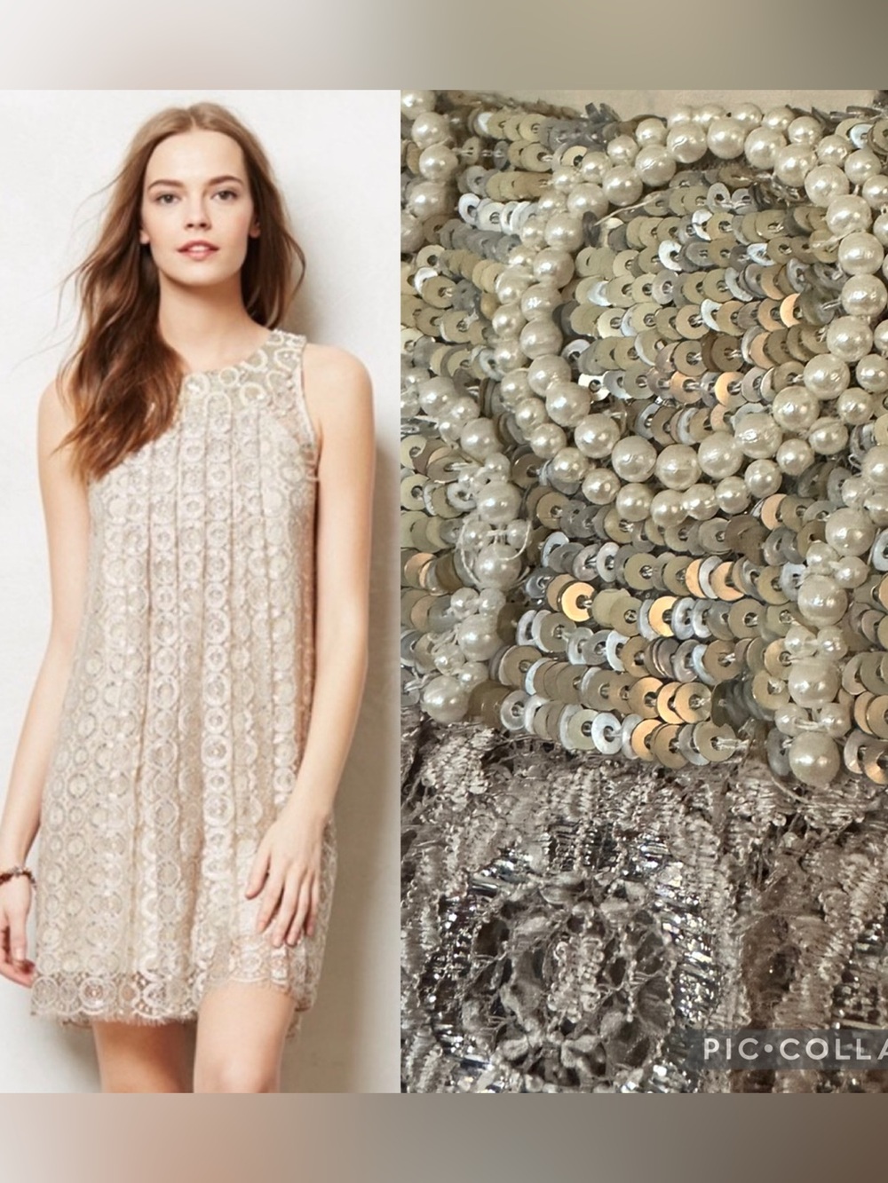 Sachin + Babi for Anthropologie Joyeux champagne silver metallic swing dress